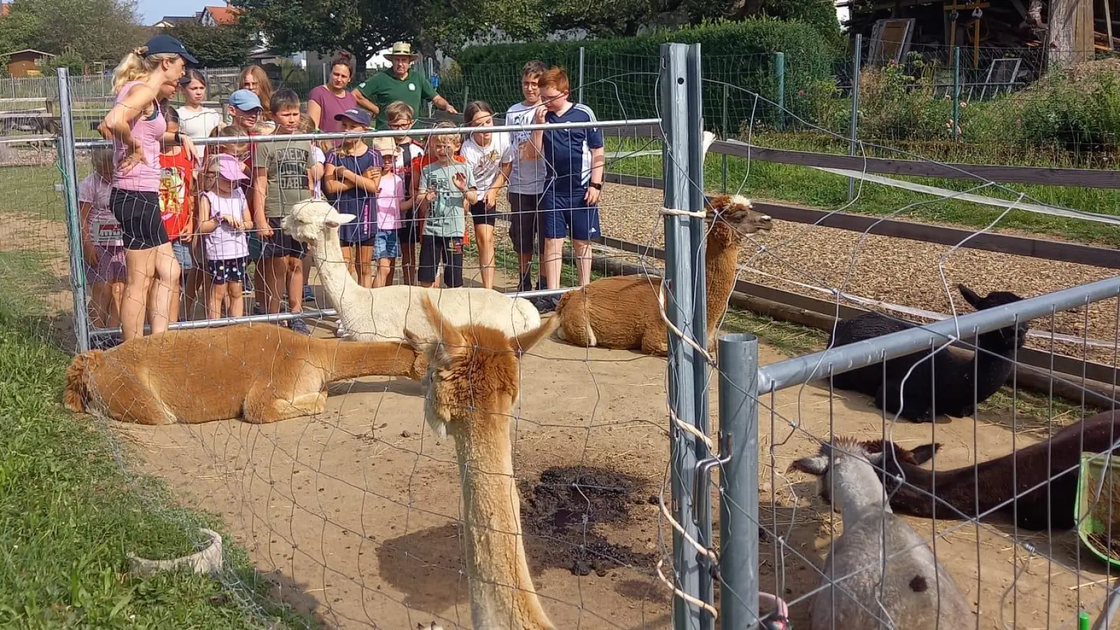 Kinderferienprogramm des OWV Waldthurn (Bild: Roman Bauer)