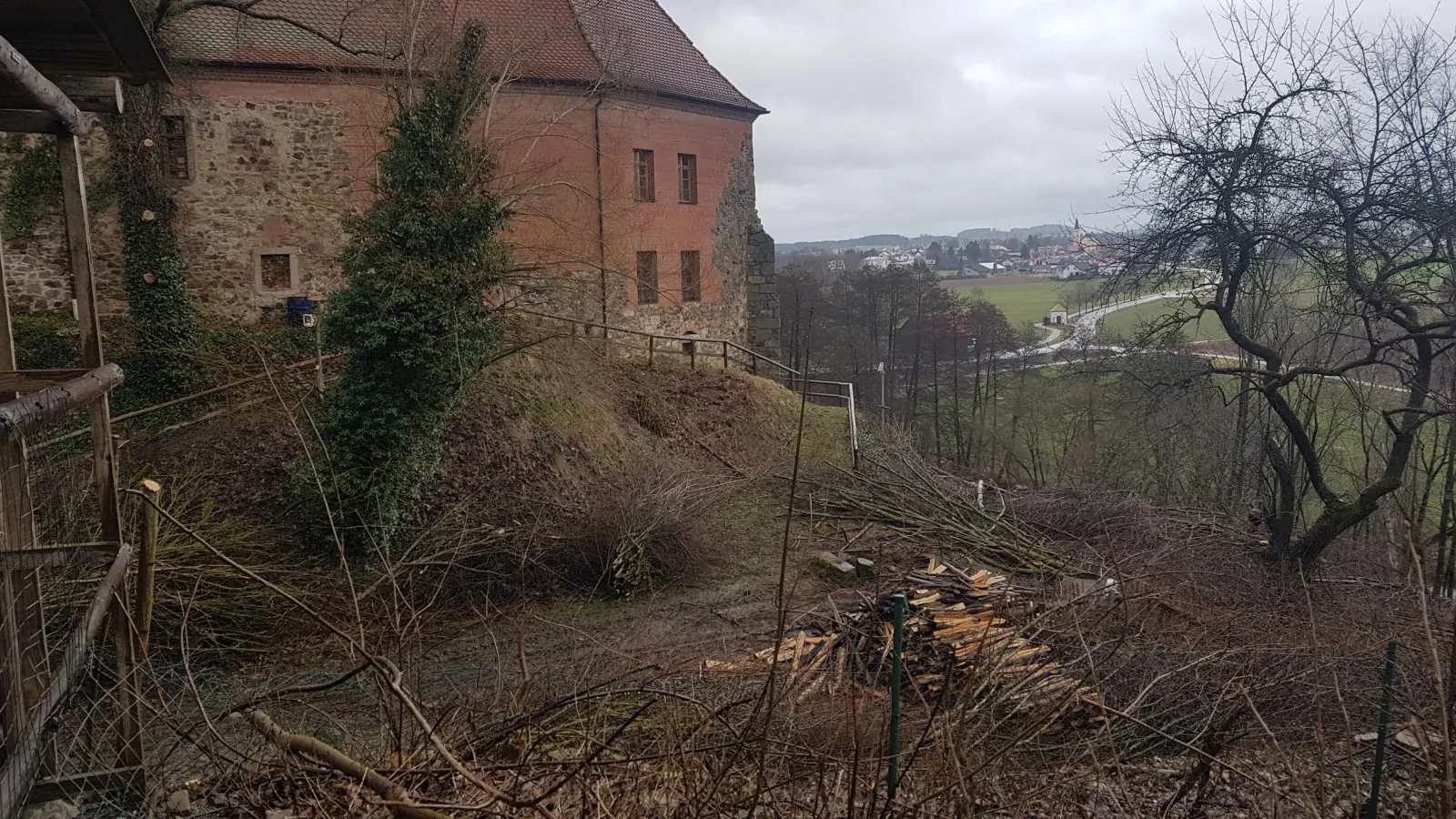 Durch eine Abholzaktion im Schlossgraben Burgtreswitz ist das Gebäude nun wieder weit ins Pfreimdtal hinunter sichtbar. (Archivbild: Peter Garreiss)