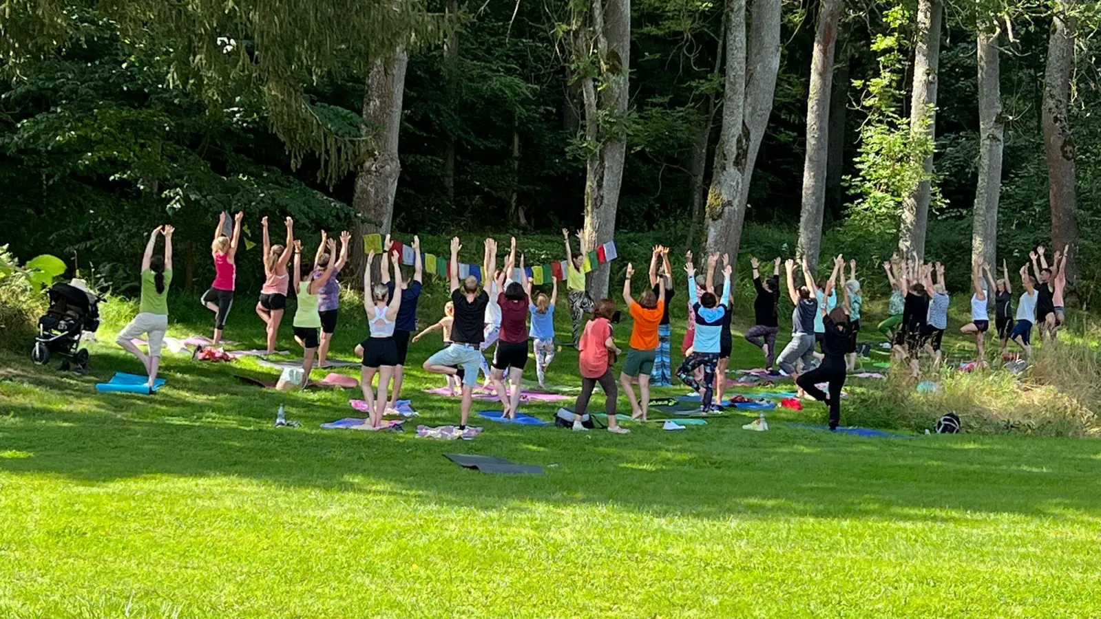 Yoga im Zottbachtal  (Bild: Hans Rewitzer)