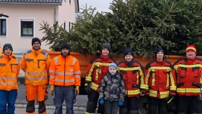 Rund 75 Christbäume lud das Team der Feuerwehr Kulmain auf den Anhänger auf. . (Bild: Gemeinde Kulmain/exb)