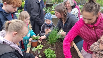 Bepflanzung des Beetes unter Anleitung Kathi Steinhilber (hinten rechts). (Bild: Michaela Hahn/exb)