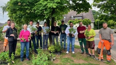 Pflanzaktion an der Grundschule Immenreuth (Bild: Gudrun Lehner)