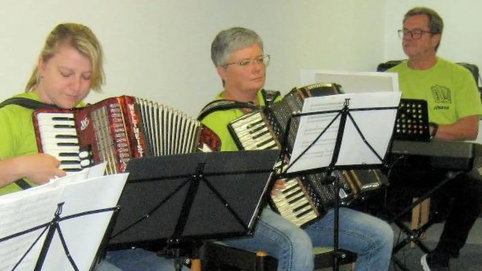 Mit Medleys und Evergreens begeistert das Akkordeon-Orchester unter Jürgen Eckert (Vierter von links). (Bild: kwl)