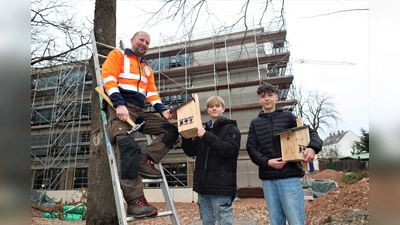  Pestalozzischüler bauen Nistkästen für Vögel im Stadtgebiet (Bild: Pressestelle Stadt Weiden i.d.OPf./exb)