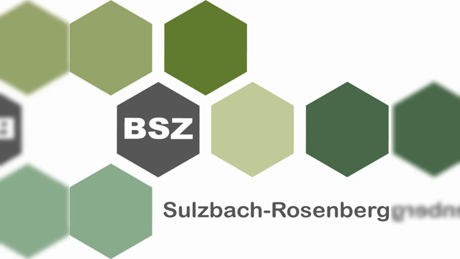 Logo Berufsschule Sulzbach-Rosenberg (Bild: Logo Berufliches Schulzentrum Su-Ro)