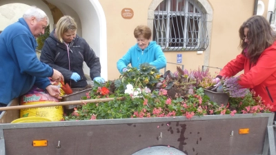 Der Gartenbau- und Ortsverschönerungsverein ist immer zur Stelle, wenn es um Pflanzaktionen geht.  (Bild: mad)