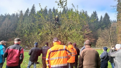 Katharina Hage zeigt den Obstbaumschnitt an einem etwa 30 Jahre alten Apfelbaum  (Bild: Pamela Wünsche)