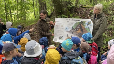 „Die Ameise”: Projektwochen im Franziskus-Kindergarten (Bild: Lisa Demleitner)