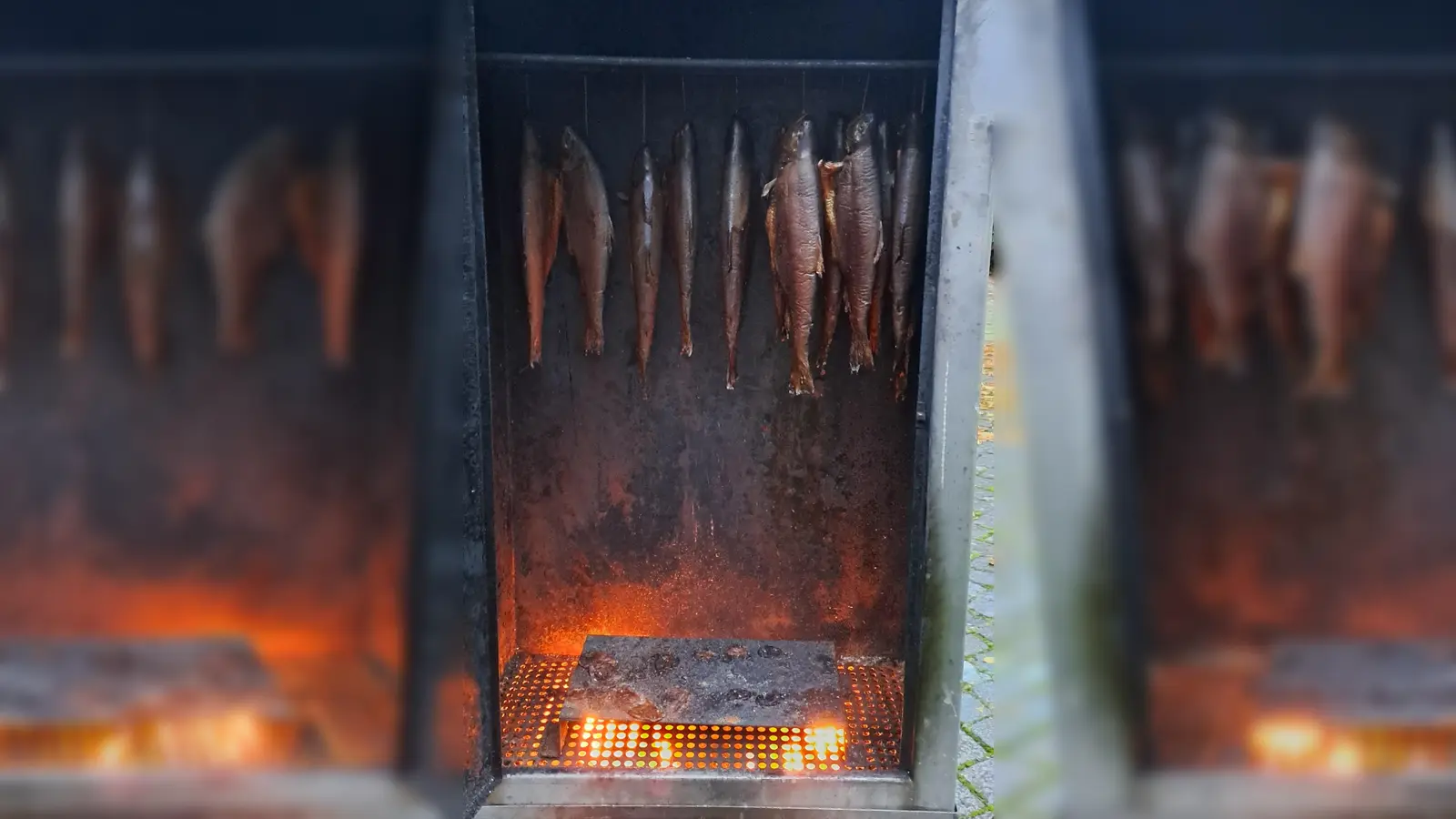 Forellen im Räucherofen. (Bild: Doris Borchardt)