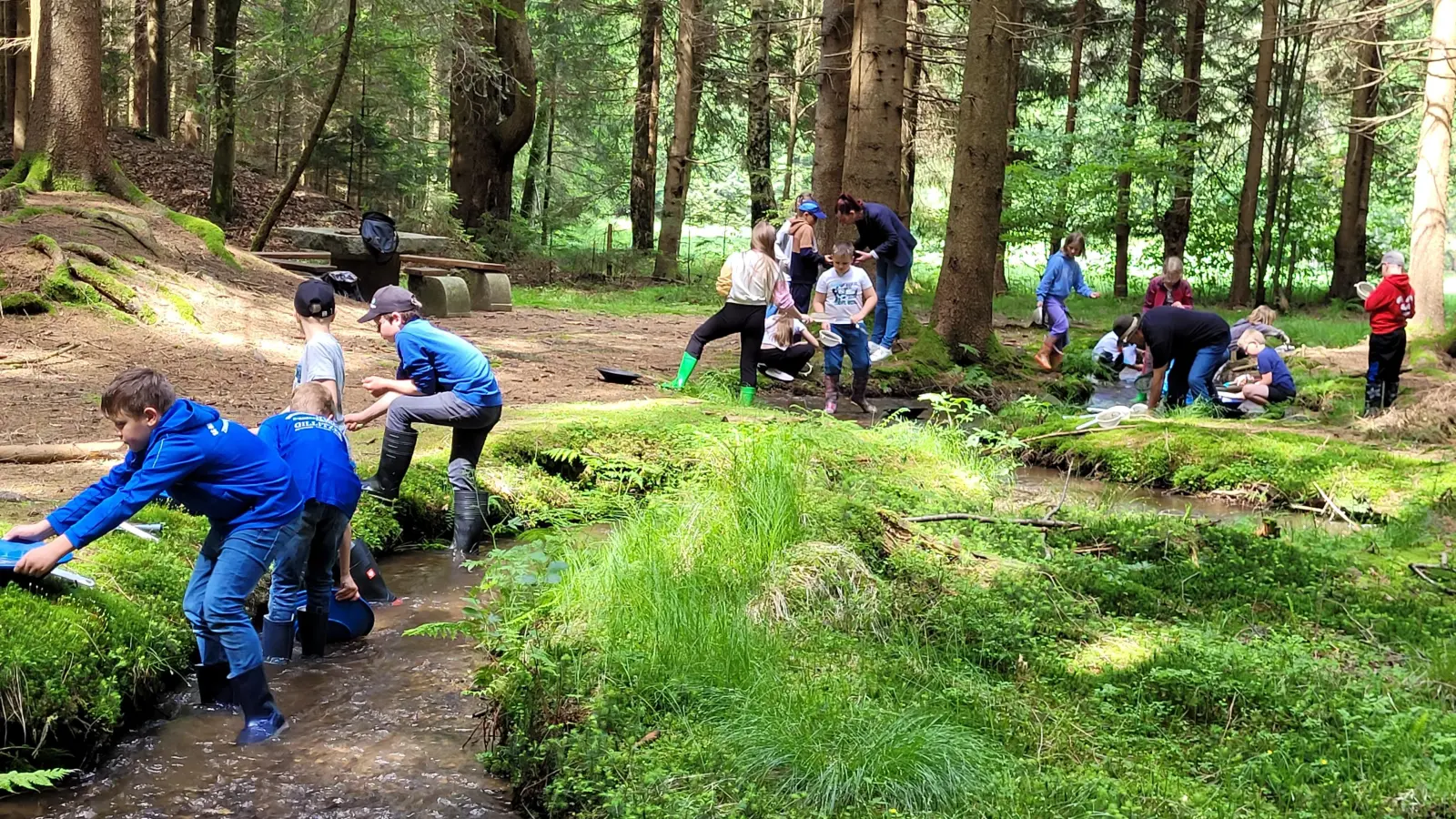 Tschechische und Niedermuracher Schüler beim Goldwaschen.  (Bild: Ortrud Sperl)