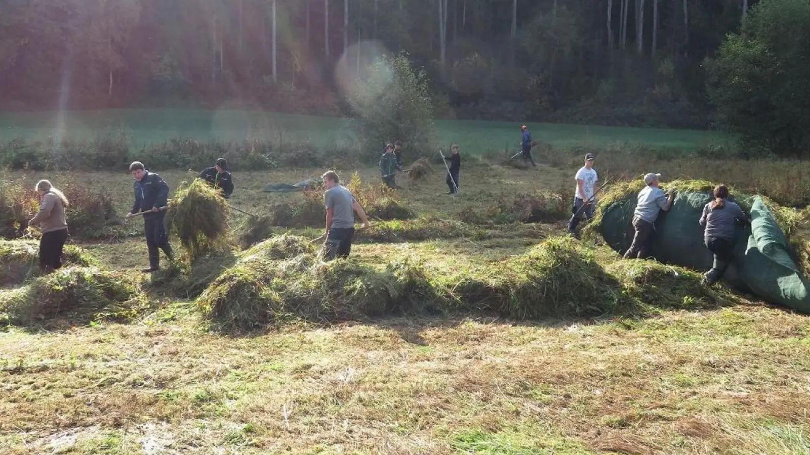 Feuchtwiesenbiotope zu pflegen ist fester Bestandteil der Ausbildung bei den angehenden Landwirten und Forstwirten der Berufsschule in Neunburg vorm Wald.<br> (Bild: Thomas Obendorfer/exb)