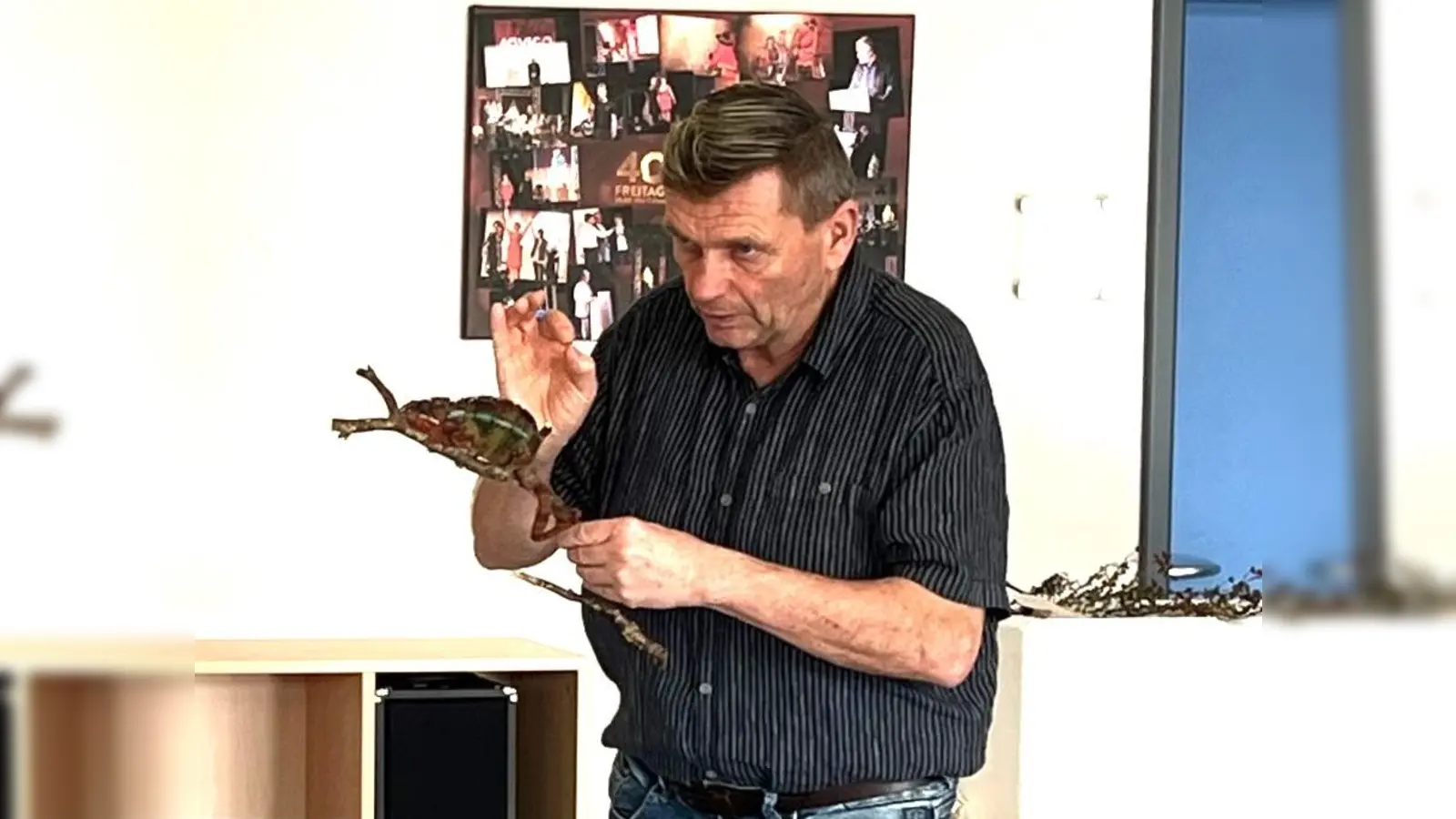 Manfred Werdan berät als Sachverständiger für Reptilien und Amphibien auch Behörden.  (Bild: Georg Lang)