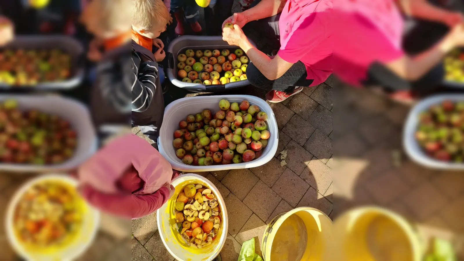 Das Waschen und Teilen der Äpfel wurde von den Kindern interessiert beobachtet. <br> (Bild: Gerd Neumann)