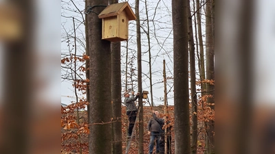  Nistkasten verteilen im Gewerbegebiet Ost BAII  (Bild: Andreas Juilfs )