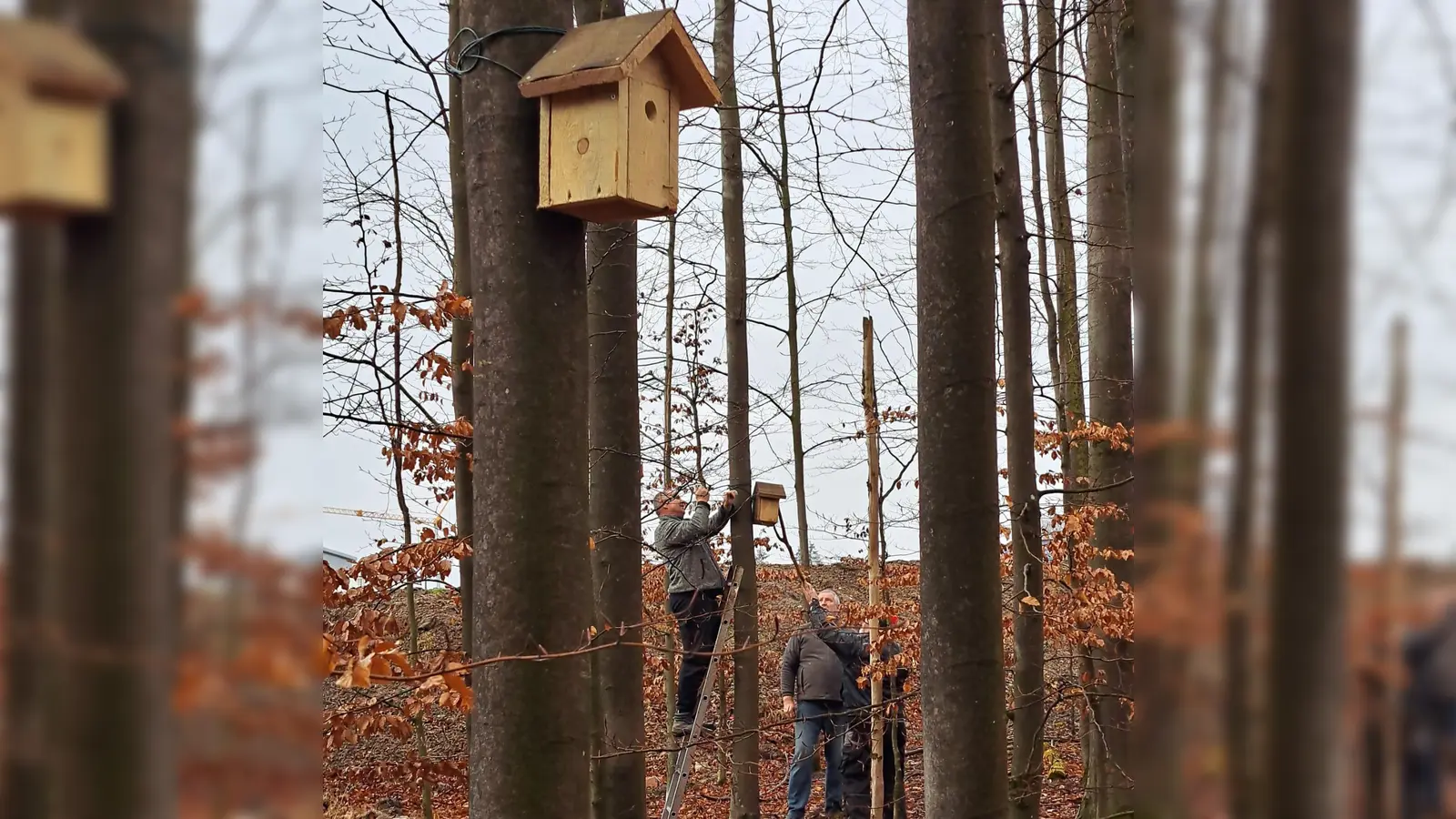  Nistkasten verteilen im Gewerbegebiet Ost BAII  (Bild: Andreas Juilfs )