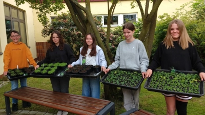 Schülerinnen und Schüler der Klasse 7d nahmen die Pflanzen entgegen.  (Bild: Angelika Köppl)