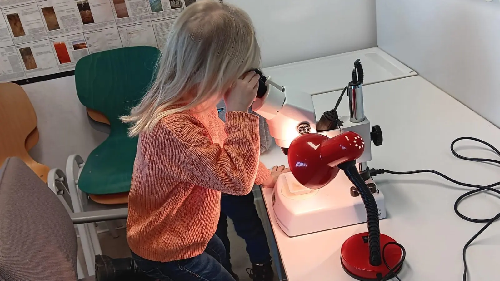 Kinder erforschen die Steine im Geo-Zentrum Windischeschenbach. (Bild: Marina Krisch/exb)