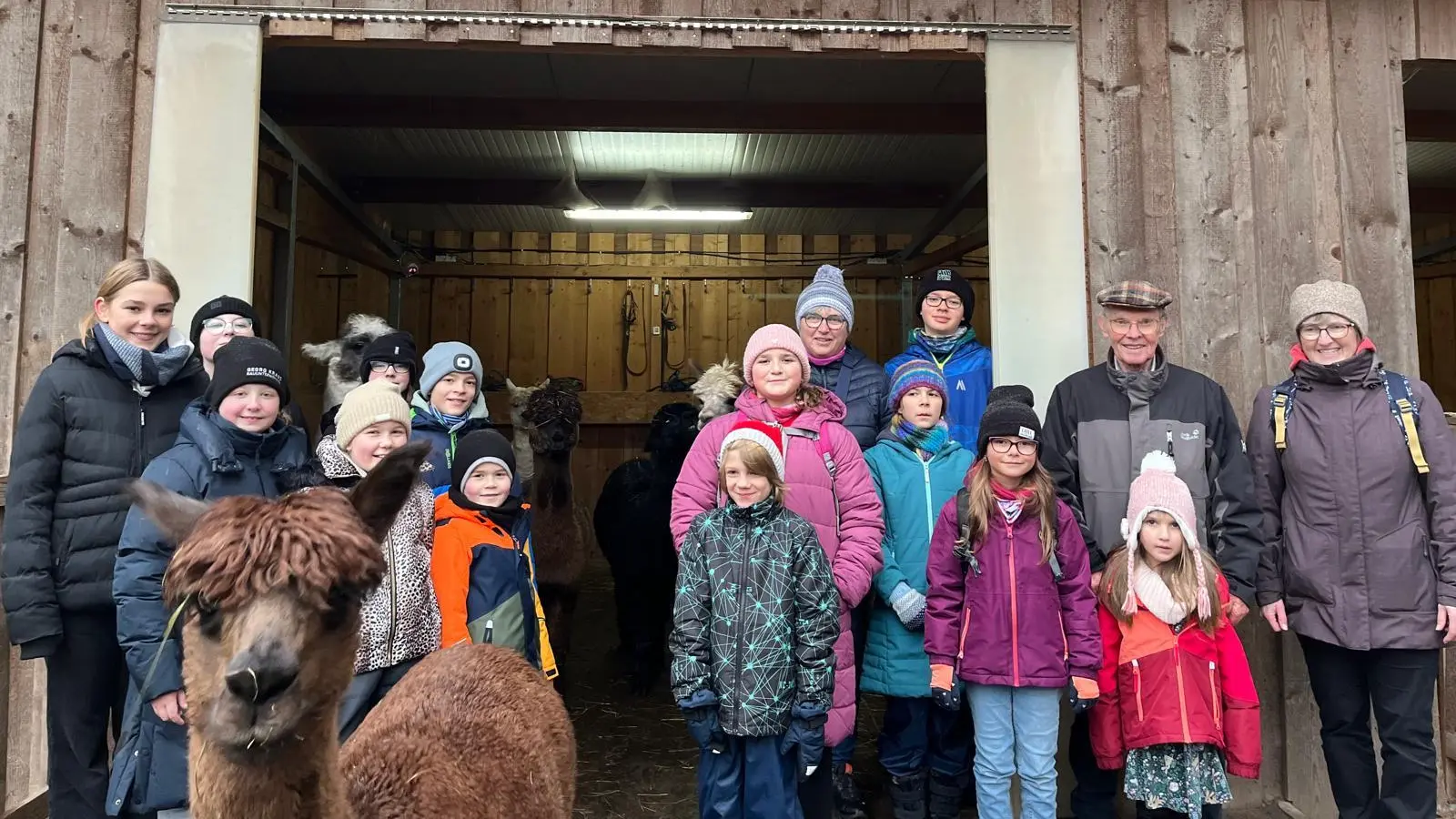 Besuch der Siedlerjugend bei den „Pirker Alpakas” (Bild: Leila Smekal)