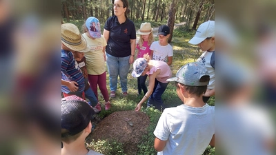 Beim Ferienprogramm der Kolpingsfamilie Falkenberg ging es mit den Kindern in den Wald. (Bild: Bianca Göhl)