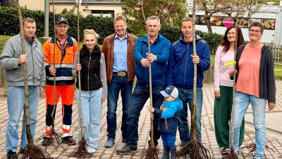 Streuobst für alle. (Bild: Christian Kätzlmeier)
