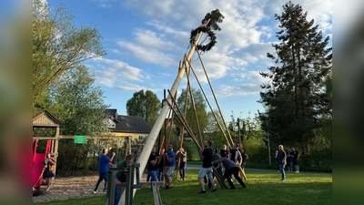 Mit purer Manneskraft wurde der Maibaum beim Dorgemeischaftshaus in Hermannsreuth aufgestellt. (Bild: Josef Söllner)