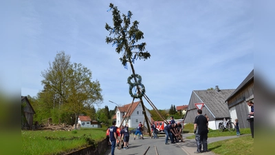 Die Feuerwehr Burgtreswitz stellt ihren Maibaum auf, der mit zwei Kränzen und blau-weißen Bändern geschmückt ist. (Bild: gi)