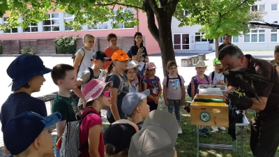 Falkner Eckhard Mickisch überraschte die Kinder mit seinem majestätischen Falken  (Bild: Josef Kleber)