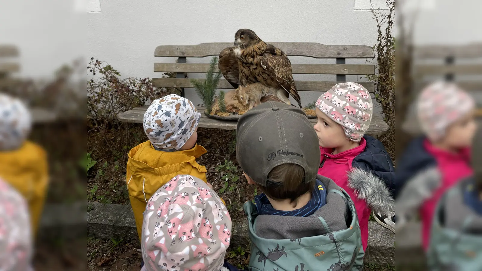 Die Kinder bestaunten Wildtiere.  (Bild: Daniela Kielhorn)