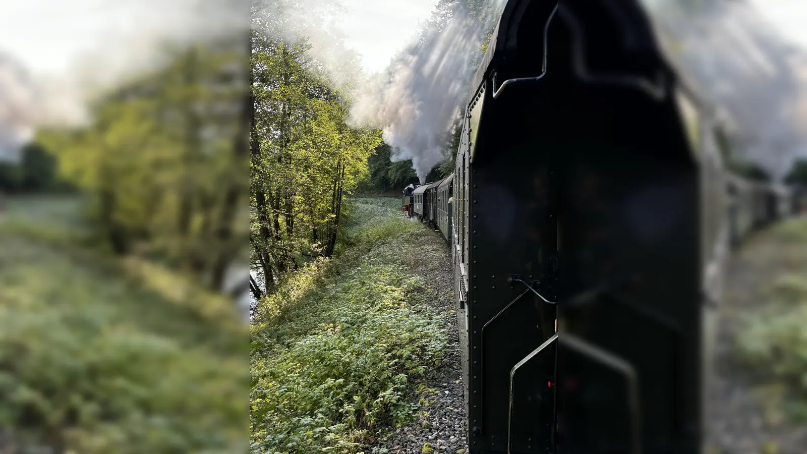 Blick aus dem Zug der historischen Dampfbahn. (Bild: Andreas Magulski)