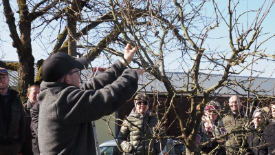 Gartenpfleger Michael Schlötzer erklärte und zeigte den Teilnehmern, wo er an den Ästen die Schere ansetzt. (Bild: Gerd Neumann/exb)