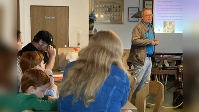 Dr. Dirk Schürfeld beim Vortrag über Insektengiftallergien. (Bild: Elke Schürfeld)
