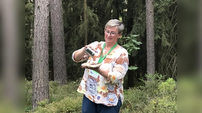 Geopark-Rangerin Sonja Schmid erklärt anschaulich die Entstehung von Erz-Lagerstätten.  (Bild: Markus Frank)