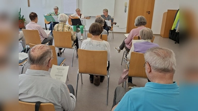 Musikalischer Nachmittag in der Ökumenischen Sozialstation (Bild: Regina Pilhofer )