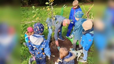 Baumpflanzaktion mit den Kräutergartenkids  (Bild: Simone Turner )