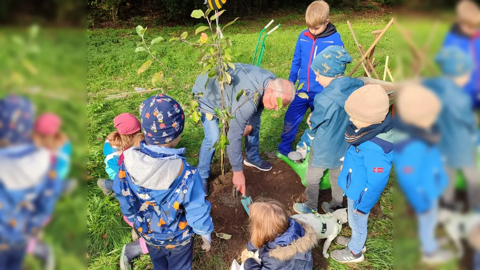 Baumpflanzaktion mit den Kräutergartenkids  (Bild: Simone Turner )