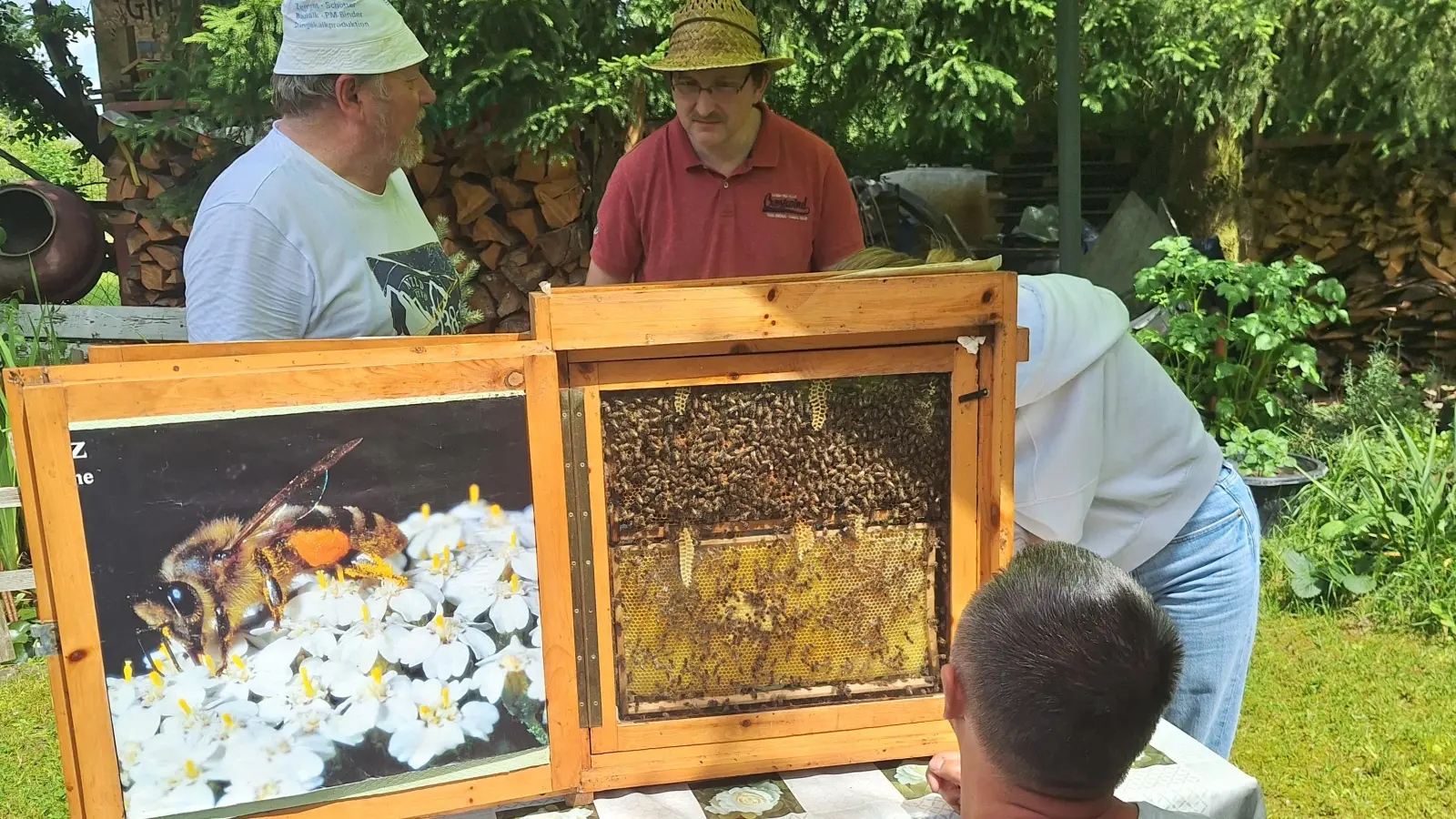  Siegfried Maier(links) erklärt den Aufbau einer Bienenwabe und eines Bienenvolkes  (Bild: Michaela Hahn )