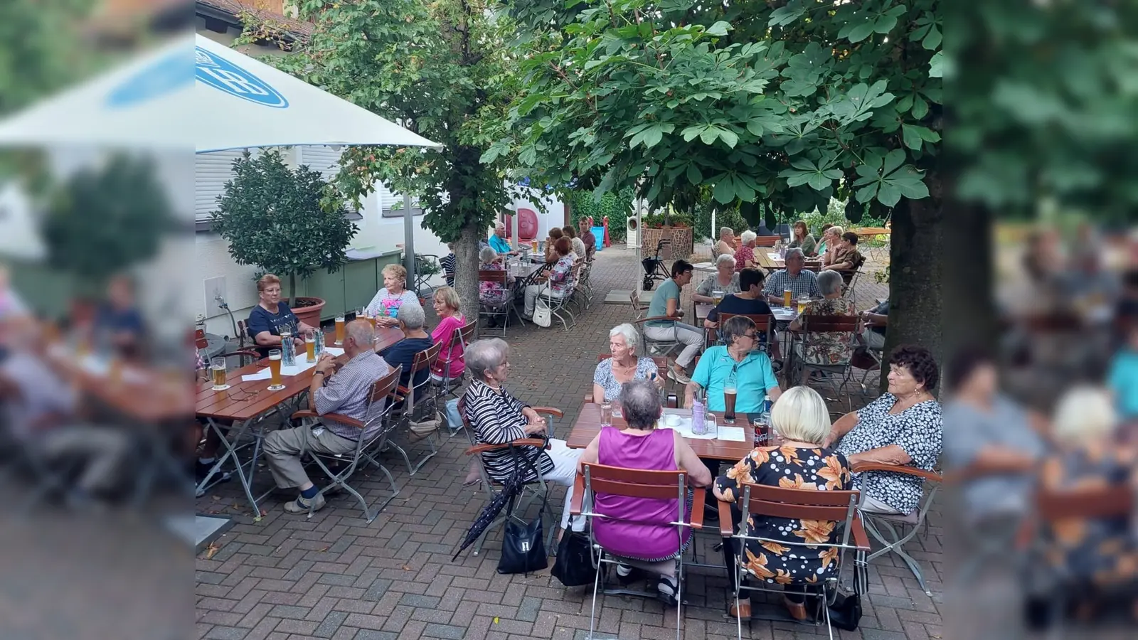 Ein gemütliches Plätzchen fanden die Teilnehmer unter Kastanienbäumen. (Bild: Marianne Scheffler)