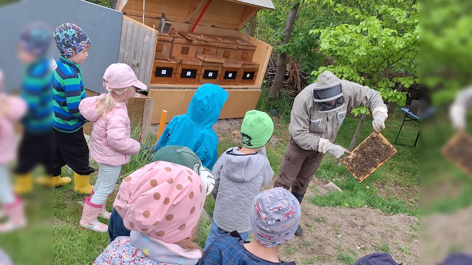 Der Imker zeigt die Wabe, die er aus dem Bienenstock geholt hat (Bild: Sieglinde Schärtl)