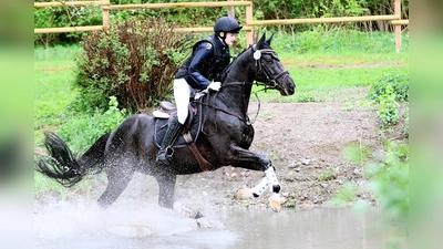 Matilda Schraml und ihr Pferd Replay (Bild: Michelle Ermer)