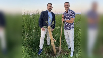 Die beiden Vorsitzenden der Neustädter SPD, Sebastian Giering und Torsten Bär beim Pflanzen des Apfelbaums (Bild: Martin Filchner)
