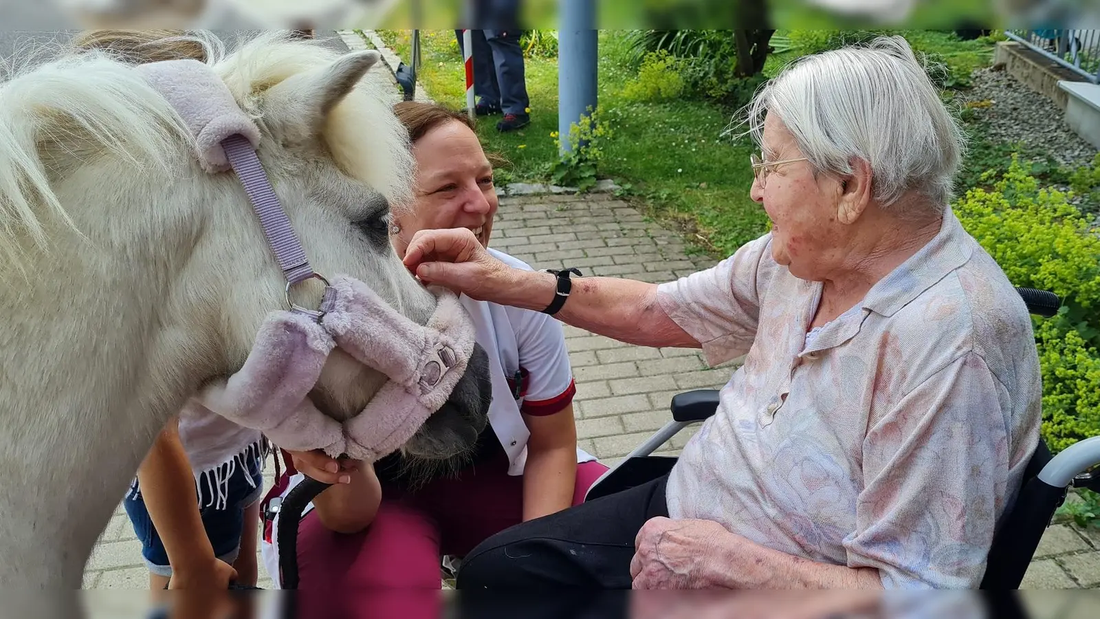 Eine Seniorin begrüßt das Pony Jimmy (Bild: Eveline Gerstl-Seidl)