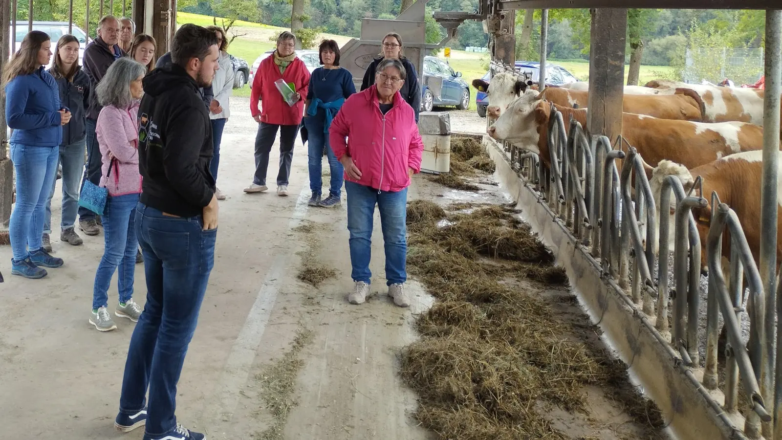 Rinderstall von Familie Koschta. (Bild: Florian Preisinger)