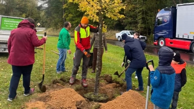 Unter Anleitung von Wolfgang Härtl wird die Winterlinde, der Kommunionbaum gepflanzt<br> (Bild: Elisabeth Schärtl)