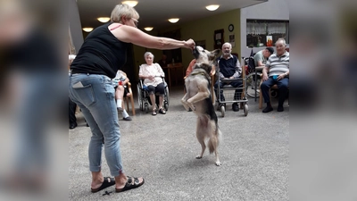 Hundedame Nalanie bei der Vorführung ihrer Kunststücke. (Bild: Claudia Heier)