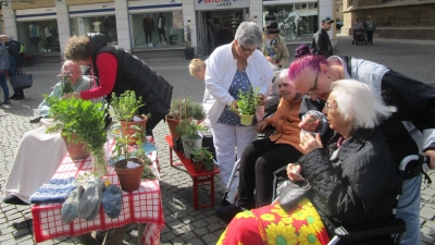 Für die Bewohner/ innen des Caritas-Altenheims Marienheim war am Bauernmarkt ein Fest für alle Sinne geboten. Hier: Kräuter und Blumen zum Anfassen, riechen und schmecken (Bild: Daniela Donhauser)