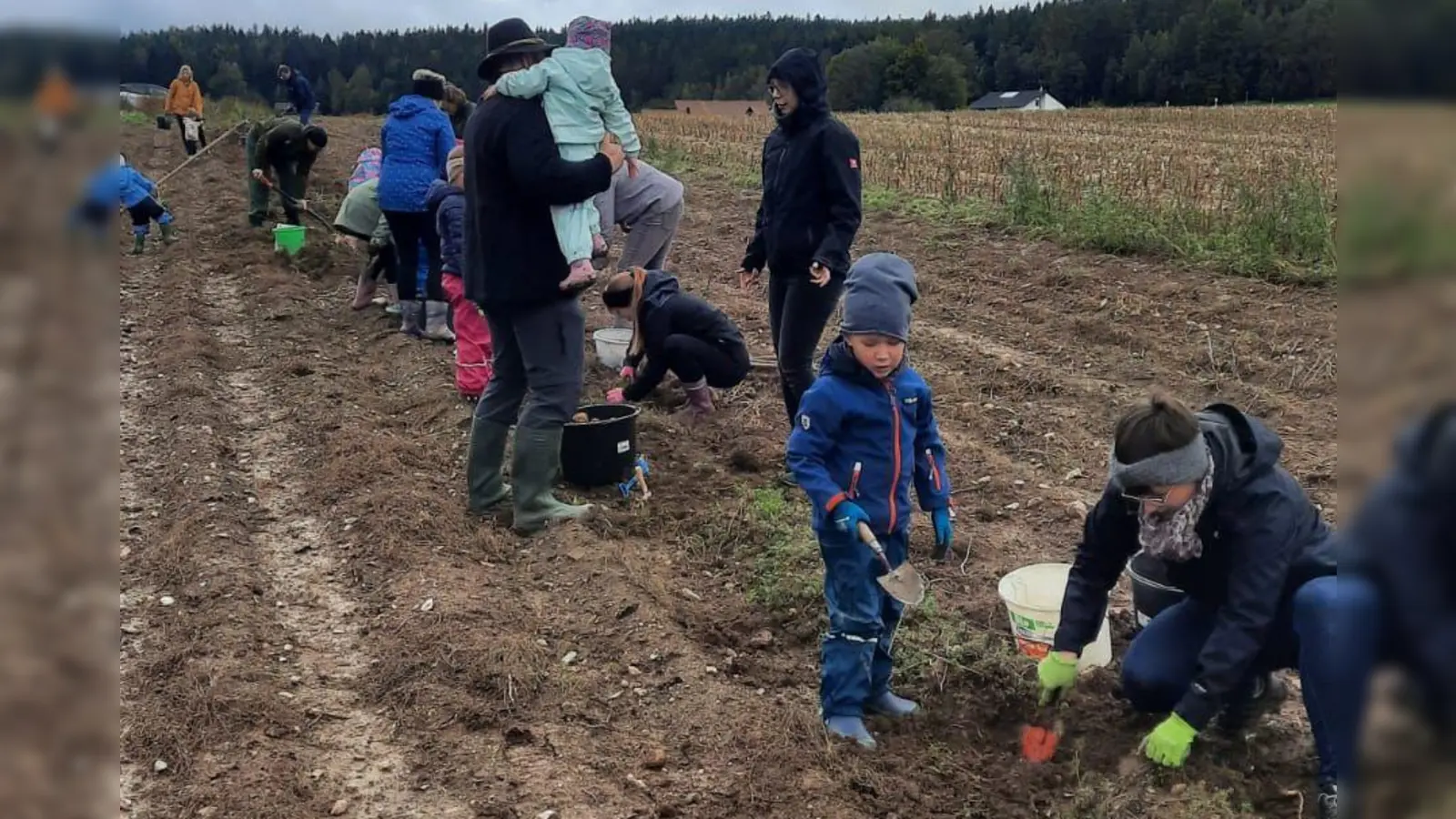 Kartoffelernte des Fichtelgebirgsvereins Waldershof. (Bild: Peter Hochmuth)