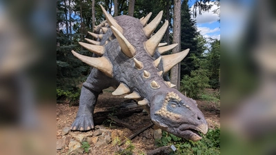 Eindruck aus dem Dinopark (Bild: Andreas Eckert)