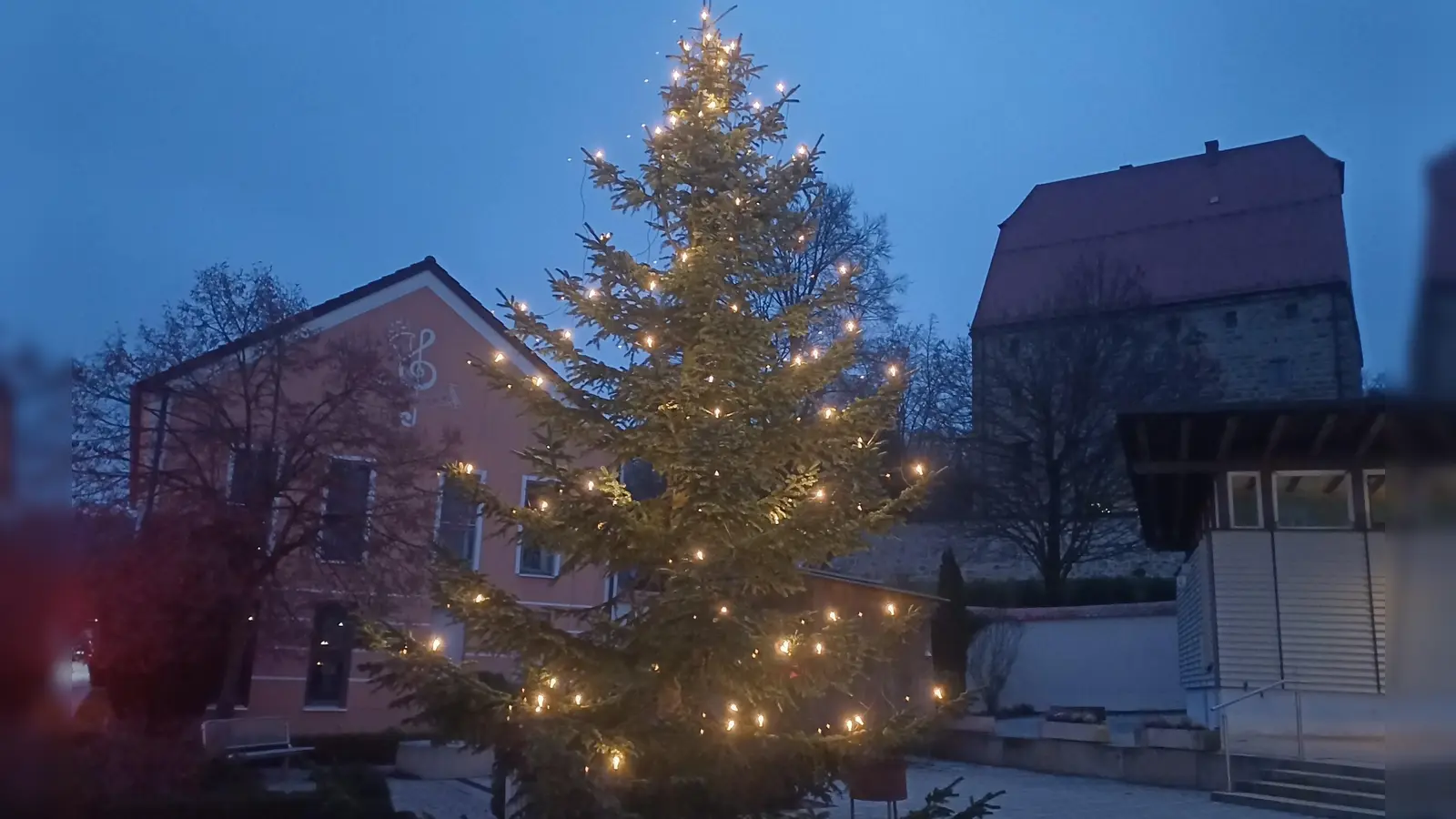 Der OGV Wolfring stellte auch dieses Jahr einen Christbaum auf dem Dorfplatz auf. (Bild: Franz Ziegelmeier )