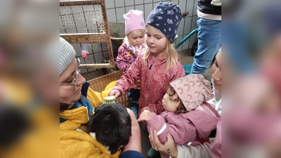 Bauernhofbesuch bei Kathrin Ziegler (Bild: Claudia Bertelshofer)