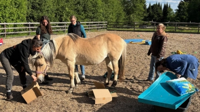 Auf dem Foto von links Manuela Beck, Anja Reuter, Anika Baumeister, Susi Gold und Katja Süß mit Therapiepferd Fina beim gemeinsamen Erkunden (Bild: Anja Reuter)